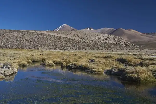 Consejos para acampar en Arica