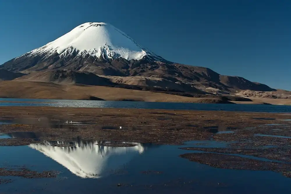 Parque Nacional Lauca Un paraíso natural en la frontera