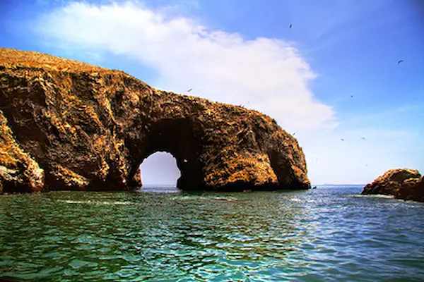 Islas Ballestas y Paracas