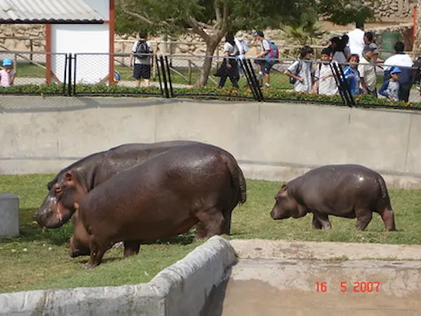 Parque de las Leyendas