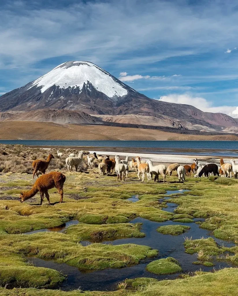 Lago chungará