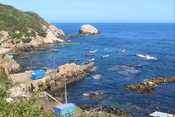 5. Galería de la Historia de Concepción