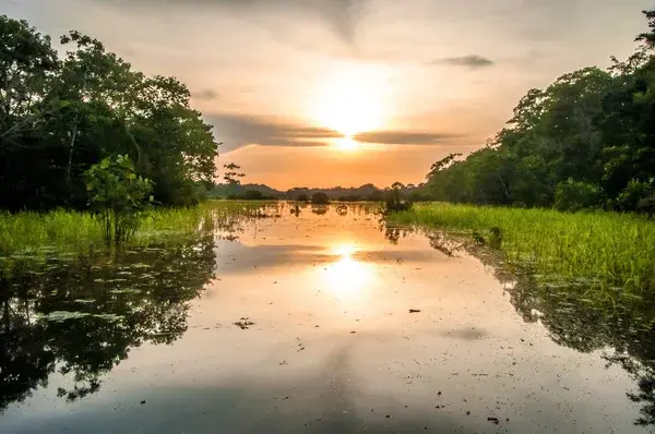 Amazonas, Perú